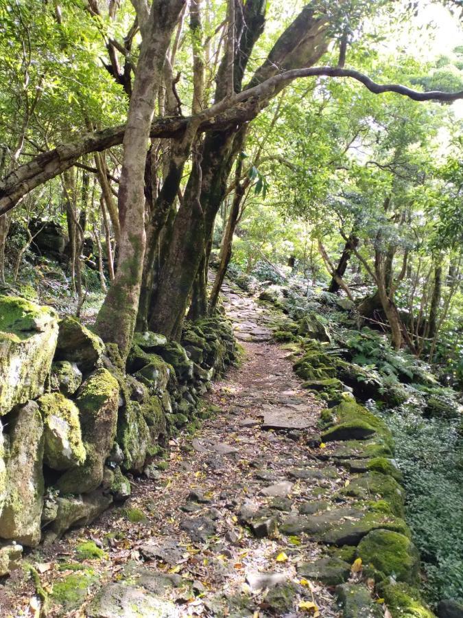 Alojamento Local M&I Lajes das Flores Dış mekan fotoğraf